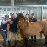 08.05.2017 Hucuły z Kazimierzy Małej / Marek Biernat