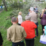 Kielce. Wycinka drzew na skwerze przy ulicy Świętej Weroniki (6 maja 2017 r.) / Piotr Michalski / Radio Kielce