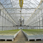 Daleszyce. Otwarcie szkółki leśnej (16 maja 2017 r.) / Marzena Mąkosa / Radio Kielce