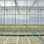 Daleszyce. Otwarcie szkółki leśnej (16 maja 2017 r.) / Marzena Mąkosa / Radio Kielce