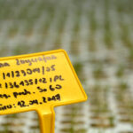 Daleszyce. Otwarcie szkółki leśnej (16 maja 2017 r.) / Marzena Mąkosa / Radio Kielce