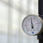 Daleszyce. Otwarcie szkółki leśnej (16 maja 2017 r.) / Marzena Mąkosa / Radio Kielce