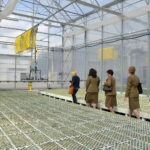 Daleszyce. Otwarcie szkółki leśnej (16 maja 2017 r.) / Marzena Mąkosa / Radio Kielce