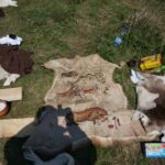 Rezerwat Rydno. Piknik archeologiczny (14 maja 2017 r.) / Tomasz Piwko / Radio Kielce