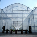 Daleszyce. Otwarcie szkółki leśnej (16 maja 2017 r.) / Marzena Mąkosa / Radio Kielce