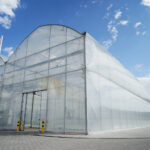 Daleszyce. Otwarcie szkółki leśnej (16 maja 2017 r.) / Marzena Mąkosa / Radio Kielce