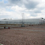 Daleszyce. Otwarcie szkółki leśnej (16 maja 2017 r.) / Marzena Mąkosa / Radio Kielce