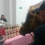 08.05.2017 Hucuły z Kazimierzy Małej / Marek Biernat