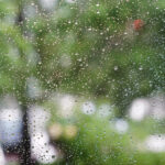 Piotr Michalski / Radio Kielce