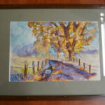 Bidon - Bad Toro / Katarzyna Prędotka / Radio Kielce