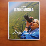 Patera ozdobna na ciasto/ owoce / Katarzyna Prędotka / Radio Kielce