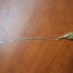 Album Moje Ponidzie, zdj. Elżbieta Dzikowska – wybitna podróżniczka i dziennikarka odkrywa w albumie na nowo Ponidzie swoimi szlakami turystycznymi / Katarzyna Prędotka / Radio Kielce