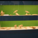 18.05.2017 Kielce. Muzeum Zabawy i Zabawek. Wernisaż wystawy Janusza Puka / Katarzyna Prędotka / Radio Kielce