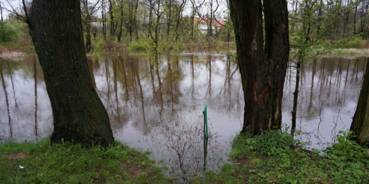 29.04.2017 Wąchock. Przekroczony stan alarmowy na rzece Kamienna / Tomasz Piwko / Radio Kielce