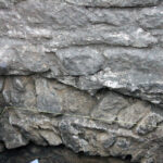 Szydłów. Odkrycia archeologów przy ruinach kościoła i szpitala świętego Ducha / Krzysztof Bujnowicz / Radio Kielce