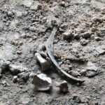 Szydłów. Odkrycia archeologów przy ruinach kościoła i szpitala świętego Ducha / Krzysztof Bujnowicz / Radio Kielce