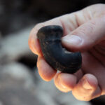 Szydłów. Odkrycia archeologów przy ruinach kościoła i szpitala świętego Ducha / Krzysztof Bujnowicz / Radio Kielce