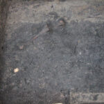 Szydłów. Odkrycia archeologów przy ruinach kościoła i szpitala świętego Ducha / Krzysztof Bujnowicz / Radio Kielce