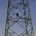 Desperat w miejscowości Hucisko (19 maja 2017 r.) / Jarosław Kubalski / Radio Kielce