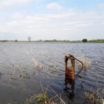 02.05.2017 Przekroczony stan alarmowy na Nidzie w Pińczowie / Kamil Włosowicz / Radio Kielce