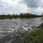 02.05.2017 Przekroczony stan alarmowy na Czarnej Włoszczowskiej w Januszewicach / Marek Orkisz / Radio Kielce