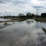 Przekroczony stan alarmowy na Nidzie / Marek Orkisz / Radio Kielce