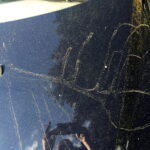 17.05.2017 Kielce. Pyłki na masce samochodu. / Robert Felczak / Radio Kielce