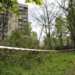 Kielce. Program „Interwencja” - mieszkańcy przeciwni wycince drzew / Krzysztof Bujnowicz / Radio Kielce