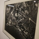 05.05.2017 Kielce. BWA. Wystawa NATURALNIE – SZTUKA! Aneta Pliszka – grafika. / Jarosław Kubalski / Radio Kielce