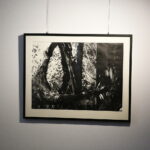 05.05.2017 Kielce. BWA. Wystawa NATURALNIE – SZTUKA! Aneta Pliszka – grafika. / Jarosław Kubalski / Radio Kielce