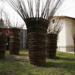 05.05.2017 Kielce. BWA. Wystawa NATURALNIE – SZTUKA! Mini plener wikliny artystycznej. / Jarosław Kubalski / Radio Kielce