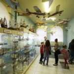 20.05.2017 Kielce. Europejska Noc Muzeów. Muzeum Zabawek i Zabawy. / Jarosław Kubalski / Radio Kielce