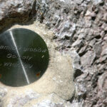 27.05.2017 Kielce. Rezerwat przyrody "Kadzielnia". / Marzena Mąkosa / Radio Kielce