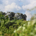 27.05.2017 Kielce. Rezerwat przyrody "Kadzielnia". / Marzena Mąkosa / Radio Kielce