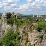 27.05.2017 Kielce. Rezerwat przyrody "Kadzielnia". / Marzena Mąkosa / Radio Kielce