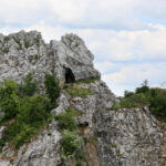 27.05.2017 Kielce. Rezerwat przyrody "Kadzielnia". / Marzena Mąkosa / Radio Kielce