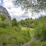 27.05.2017 Kielce. Rezerwat przyrody "Kadzielnia". / Marzena Mąkosa / Radio Kielce