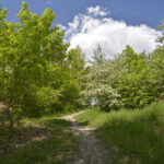 27.05.2017 Kielce. Rezerwat przyrody "Kadzielnia". / Marzena Mąkosa / Radio Kielce