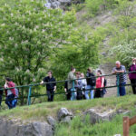 27.05.2017 Kielce. Rezerwat przyrody "Kadzielnia". / Marzena Mąkosa / Radio Kielce