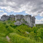 27.05.2017 Kielce. Rezerwat przyrody "Kadzielnia". / Marzena Mąkosa / Radio Kielce