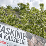 27.05.2017 Kielce. Rezerwat przyrody "Kadzielnia". / Marzena Mąkosa / Radio Kielce