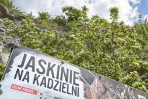 27.05.2017 Kielce. Rezerwat przyrody "Kadzielnia". / Marzena Mąkosa / Radio Kielce