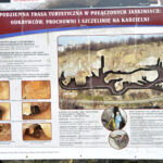 27.05.2017 Kielce. Rezerwat przyrody "Kadzielnia". / Marzena Mąkosa / Radio Kielce