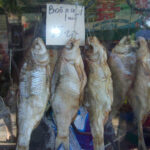 Muzyczne Podróże Przez Świat - Krym / Bartłomiej Kotowski / Radio Kielce