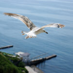 Muzyczne Podróże Przez Świat - Krym / Bartłomiej Kotowski / Radio Kielce