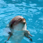 Muzyczne Podróże Przez Świat - Krym / Bartłomiej Kotowski / Radio Kielce