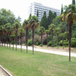 Muzyczne Podróże Przez Świat - Krym / Bartłomiej Kotowski / Radio Kielce