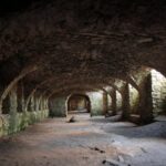 Krzyżtopór: pałac-forteca większy niż Wersal / Robert Felczak / Radio Kielce