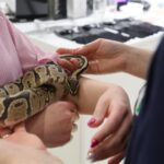 13.05.2017 Kielce. Sesja ze zwierzętami w jednym ze sklepów galerii "Korona" / Karol Żak / Radio Kielce