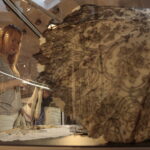 20.05.2017 Kielce. KCK. Wernisaż wystawy wachlarzy ze zbiorów Muzeum Teatralnego w Warszawie / Włodzimierz Batóg / Radio Kielce